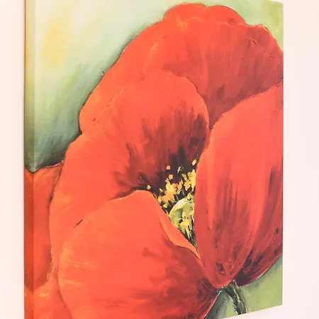 Διαμέρισμα Haus Pier 18